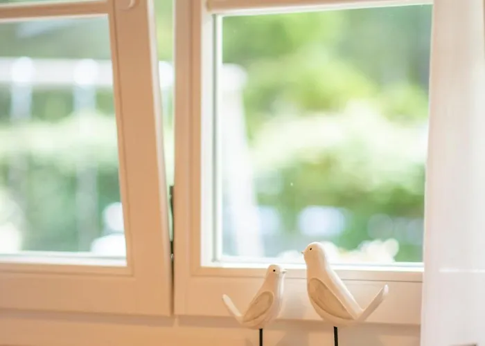 Pod Sosnami - Maly Dom *